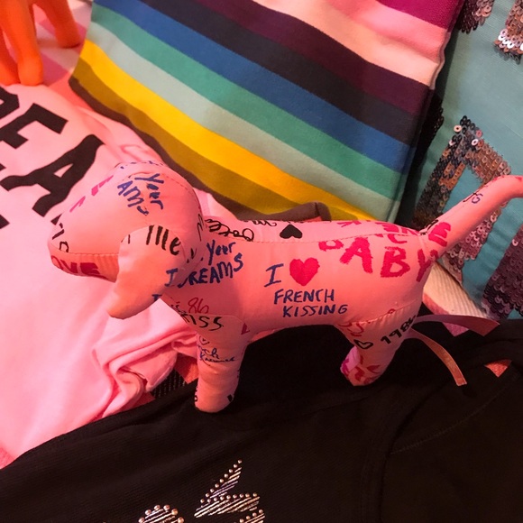 PINK / Victoria’s Secret 9 item Assortment - Picture 17 of 17